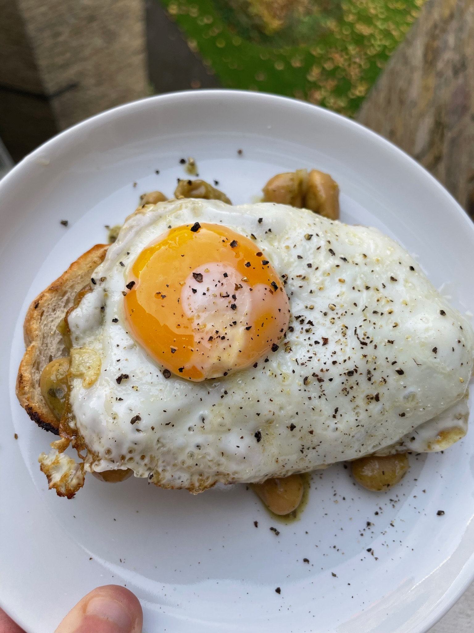 A fried egg and butter beans on toast